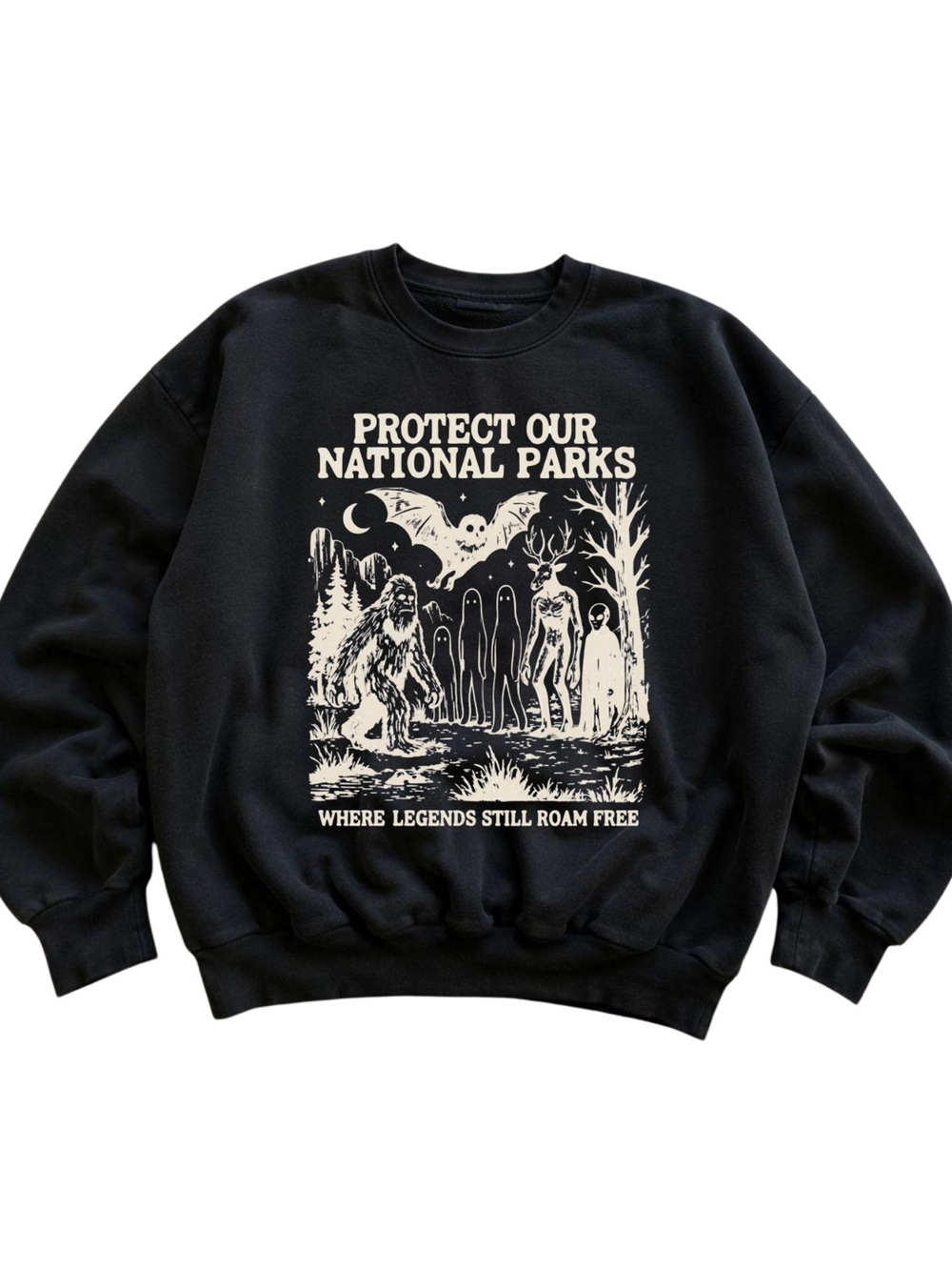 Gildan Protect Our National Parks Black Graphic Sweatshirt - Picture 1 of 2